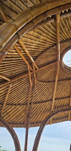 Angkasa Bamboo - RoveGarden Gallery 4